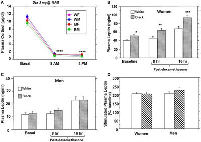 Basal and Dynamic Leptin Secretion: Association with Cardiometabolic Risk and Body Weight Trajectories in African-Americans and European-Americans